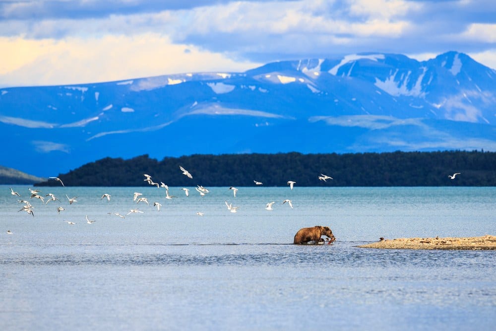 Alaska 1