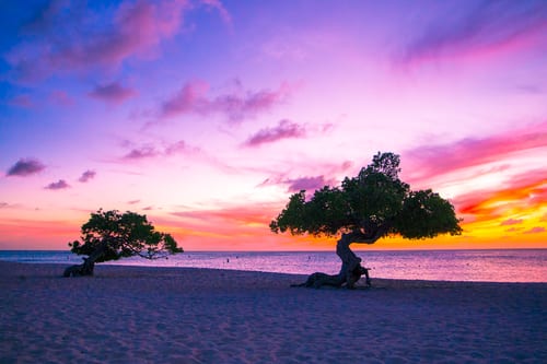 caribbean 4