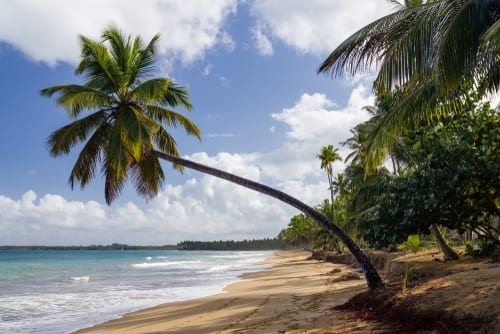 caribbean 1