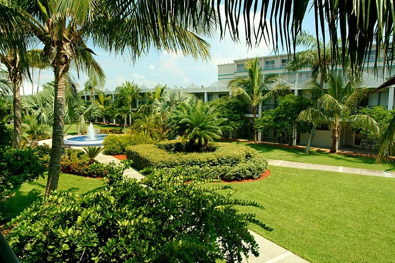 Florida - Beachcomber
