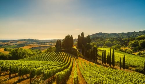 Italy - Tuscany