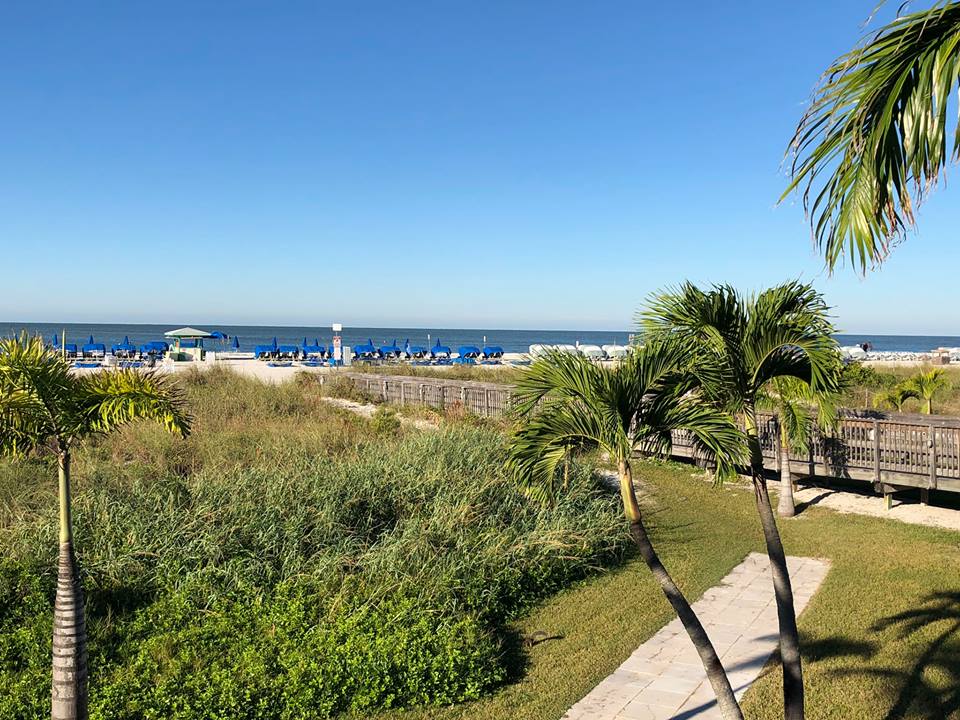 Florida Beachcomber
