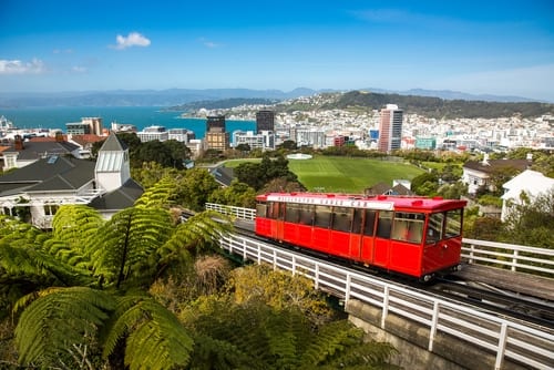 spring travel new zealand
