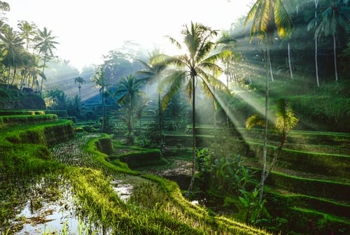 travel tech bali