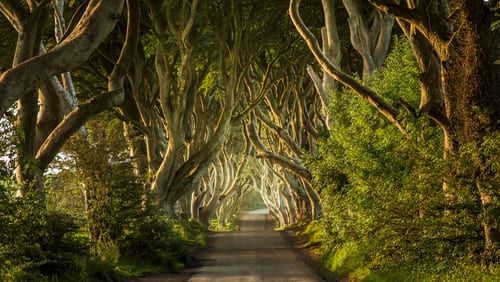 Game of Thrones 4a