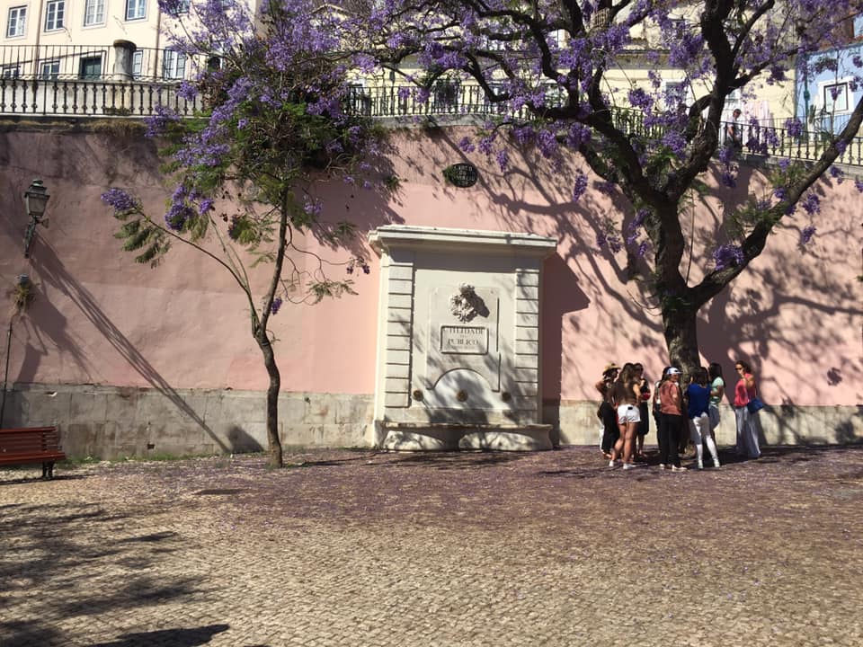 Lisbon Portugal 3