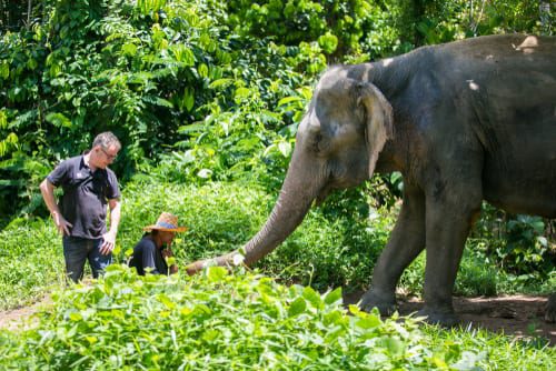 Thailand Phuket 4
