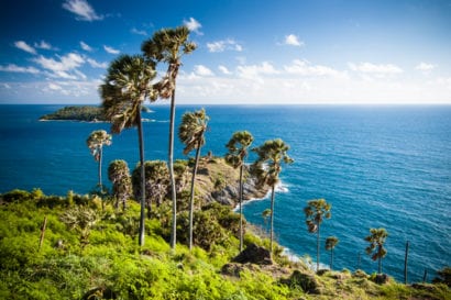 Breeze moving palm trees on island in exotic location