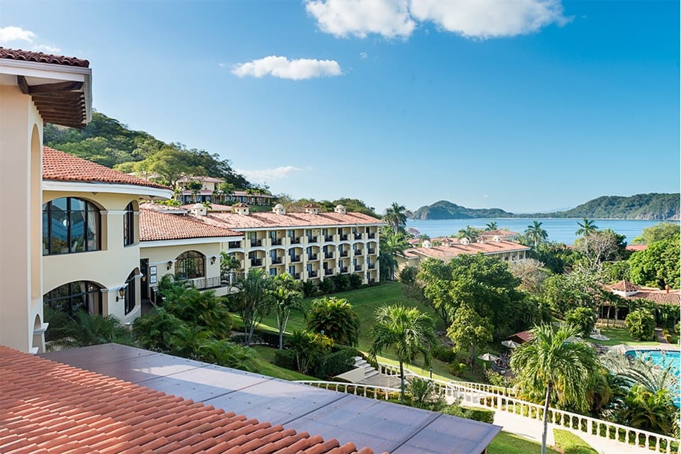 occidental papagayo