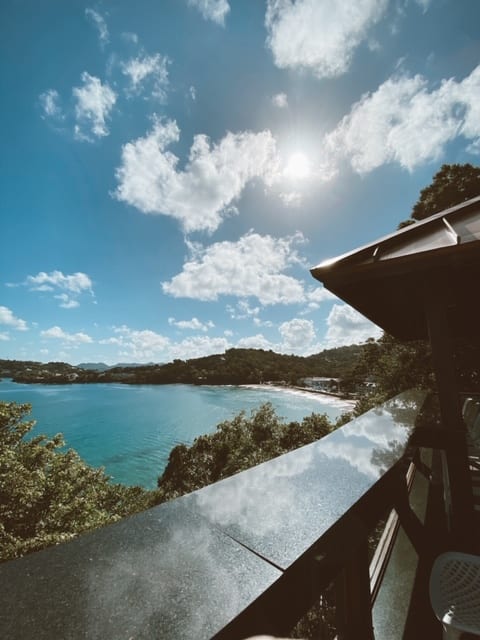 Sandals Regency La Toc 11